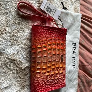 NWTs daisy in Infusion !